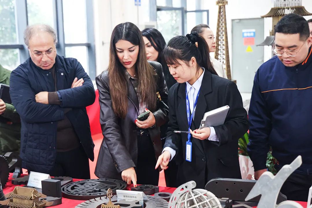 歐委會駐德國首席代表劉靜文攜海外客戶蒞臨迅鐳激光參觀考察！(圖6)