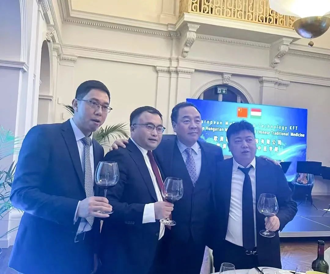 迅鐳激光董事長拜會匈牙利國家議會副主席歐拉·勞約什、中國駐匈牙利使館公使銜參贊陳奕薇(圖6)