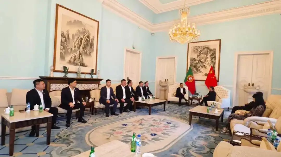 迅鐳激光董事長(zhǎng)顏章健率隊(duì)赴歐洲進(jìn)行商務(wù)考察（三）(圖3)